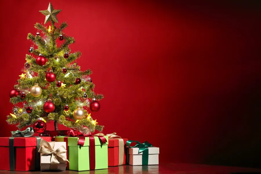 Come addobbare l’albero di Natale: i migliori consigli da seguire