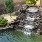 Come trasformare una fontana in un laghetto con Pesci e Piante