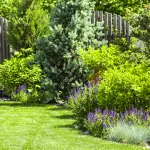 Come arredare il Giardino