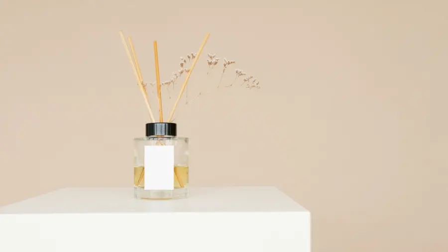Eliminare i cattivi odori in casa in modo naturale