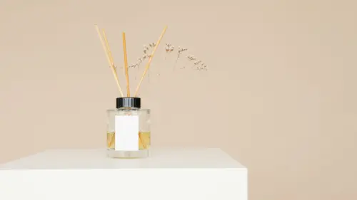 Eliminare i cattivi odori in casa in modo naturale